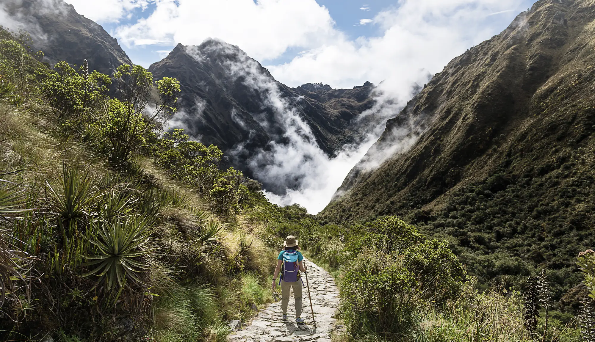 Wiñaywayna