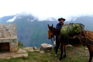 Cachora en Perú