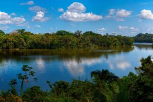 Tambopata National Reserve in Perú