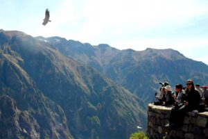 Tourists will enter the Colca Canyon for free for two months