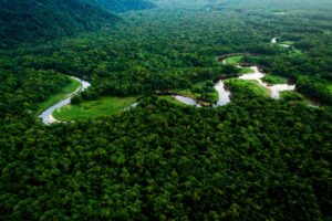 SELVA AMAZÔNICA