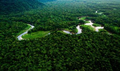 Amazon-Rainforest