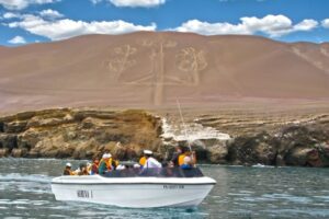 Ballestas Islands, Ica Vineyards & Huacachina