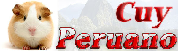 cuy-peruano