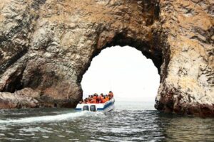 The Ballestas Islands, Paracas.What to see and do?