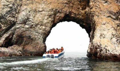 The Ballestas Islands, Paracas.What to see and do?