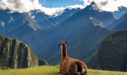 Machu Picchu – Full-Day Tour