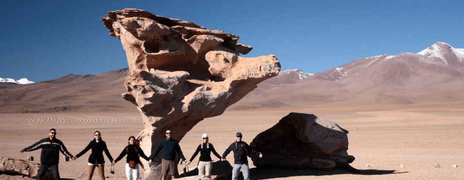 Stone Tree - Uyuni Bolivia