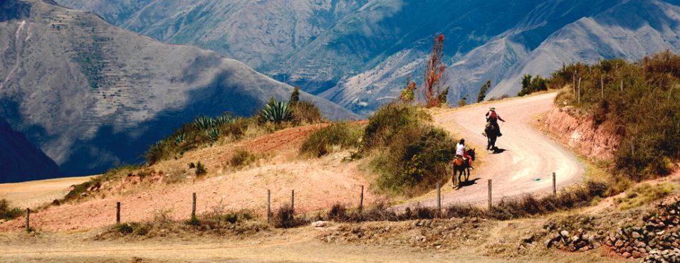 Horse Cusco