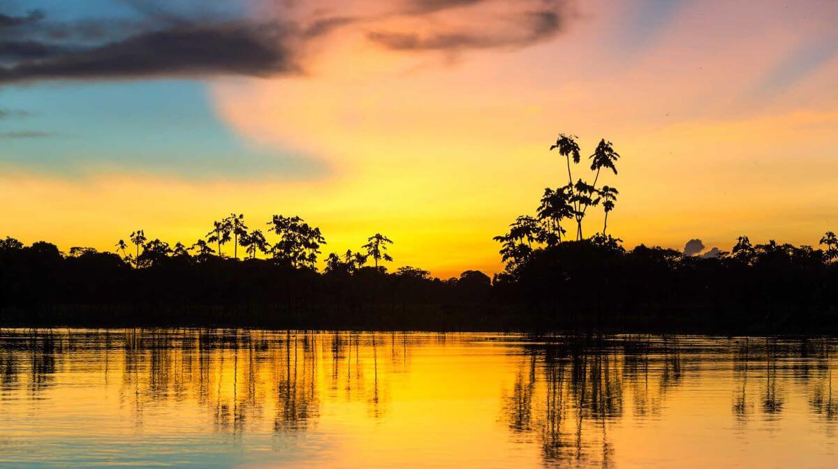 Iquitos Yanaku