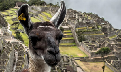 Cusco, Maras, Sacred Valley & Machu Picchu – 5 Days Travel Package