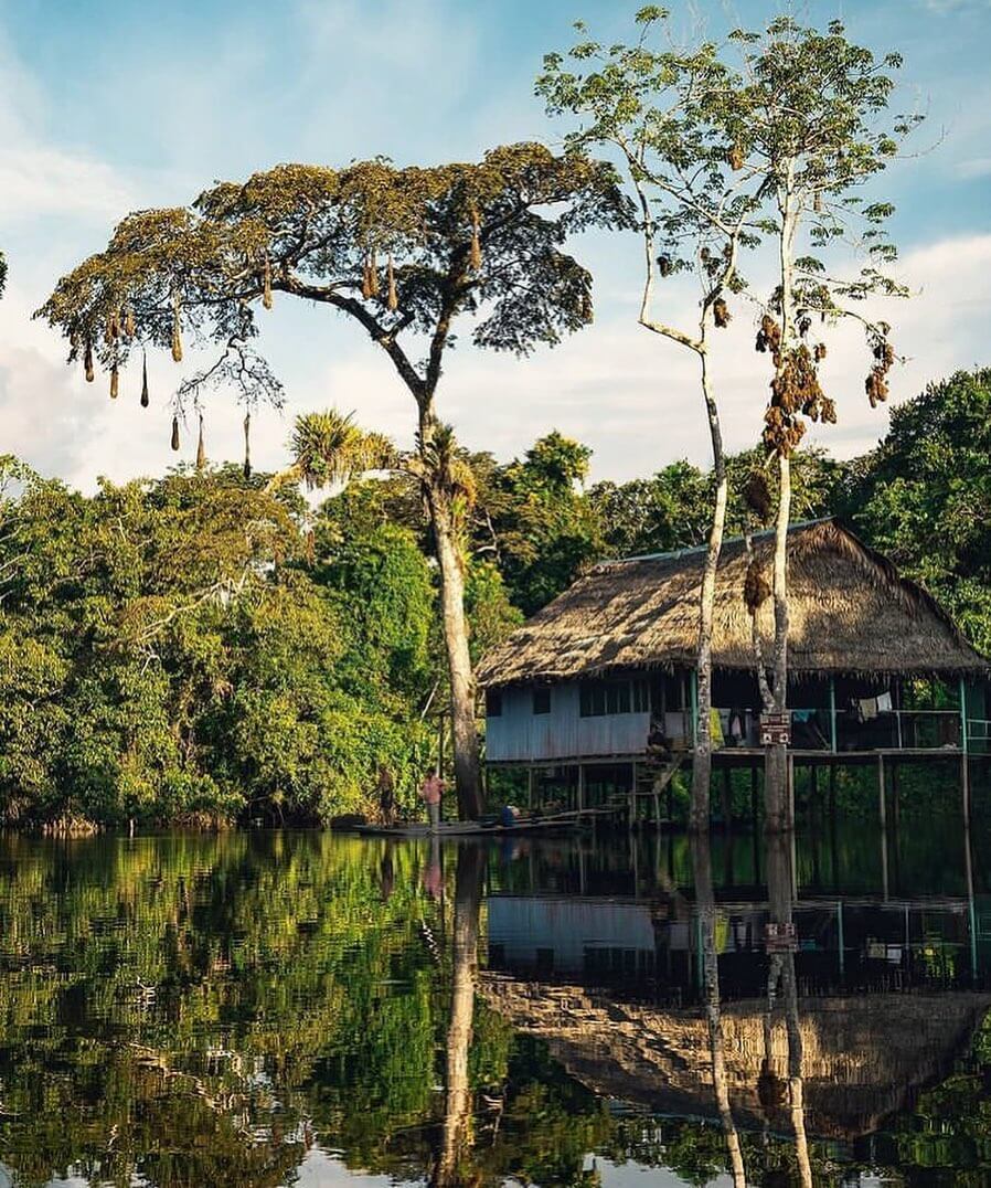 tours pacaya samiria iquitos