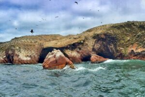 Ballestas Islands – Full-Day Tour