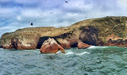 Ballestas Islands – Full-Day Tour