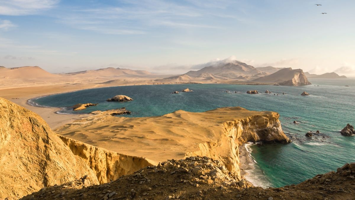 Ballestas Islands – Full-Day Tour