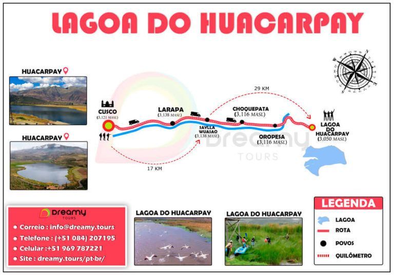 huacarpay-observacao-de-passaros-Dreamy-Tours