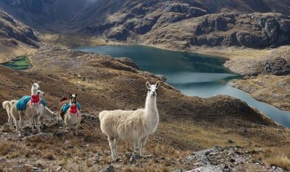 Lares Trek to Machu Picchu – 4 Days