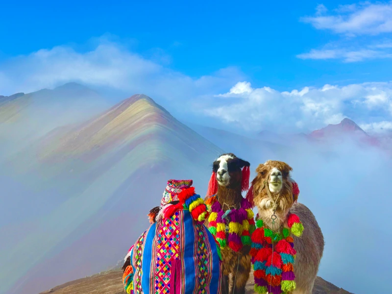 Aventuras En Peru 12 Dias: Lima, Ica, Nazca, Cusco, Puno; Experiencias Inolvidables