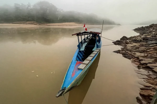 Explore Tambopata National Reserve: Tambopata Jungle Adventure Explore Tambopata National Reserve: Tambopata Jungle Adventure