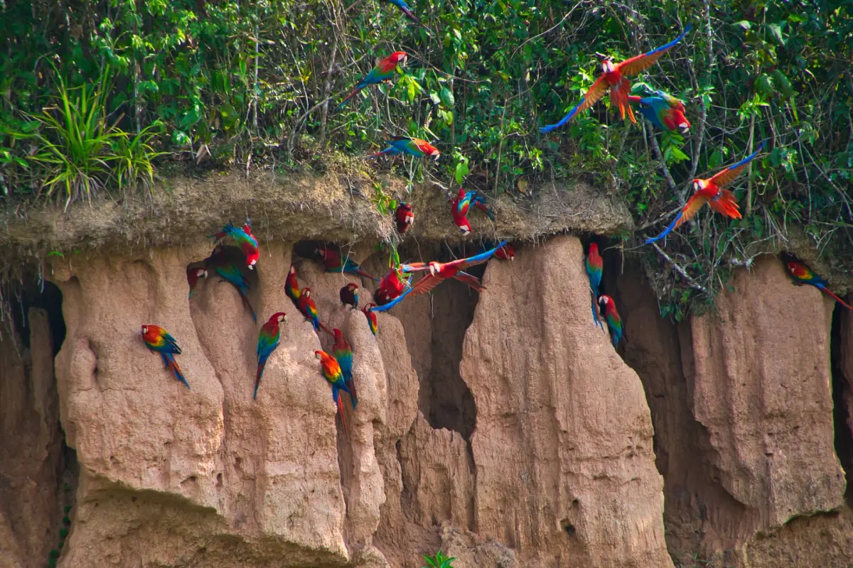 Sustainable Tourism in Peru