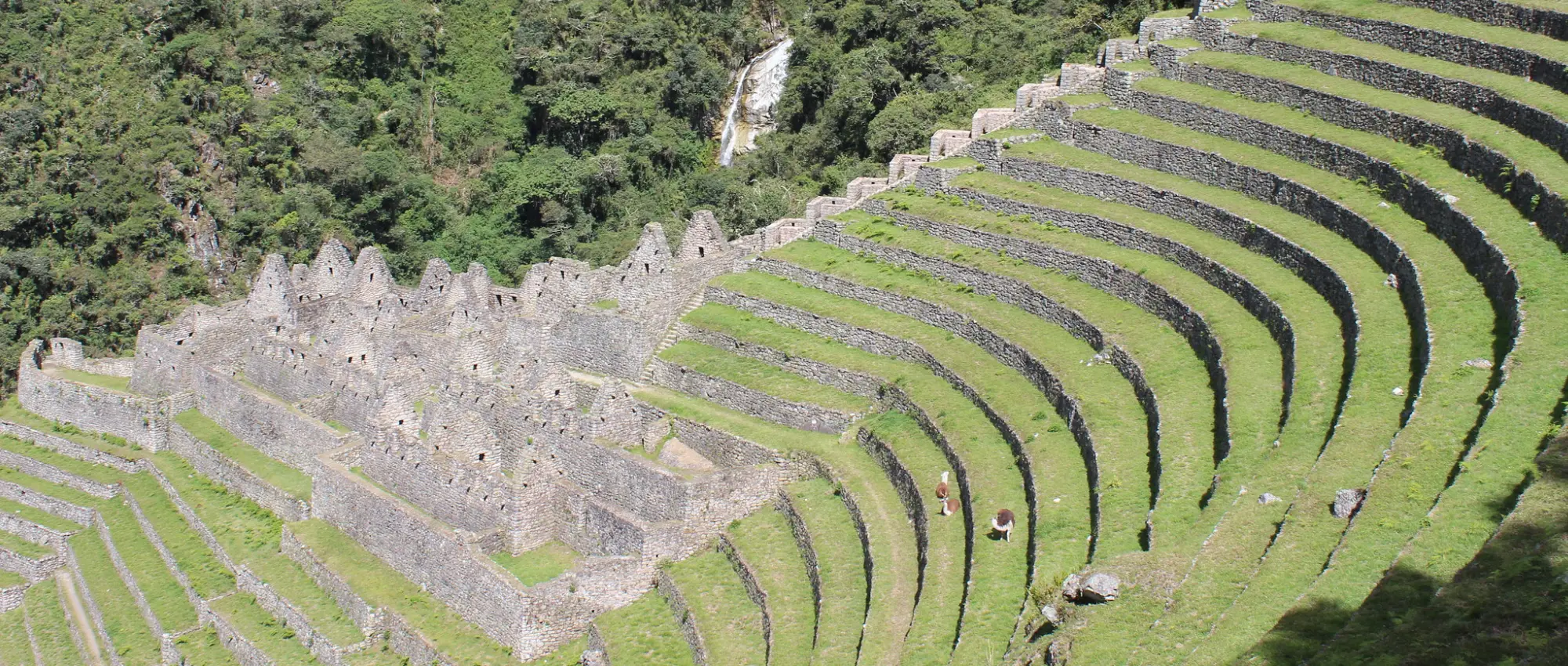 Wiñay Wayna: La última gran parada del Camino Inca