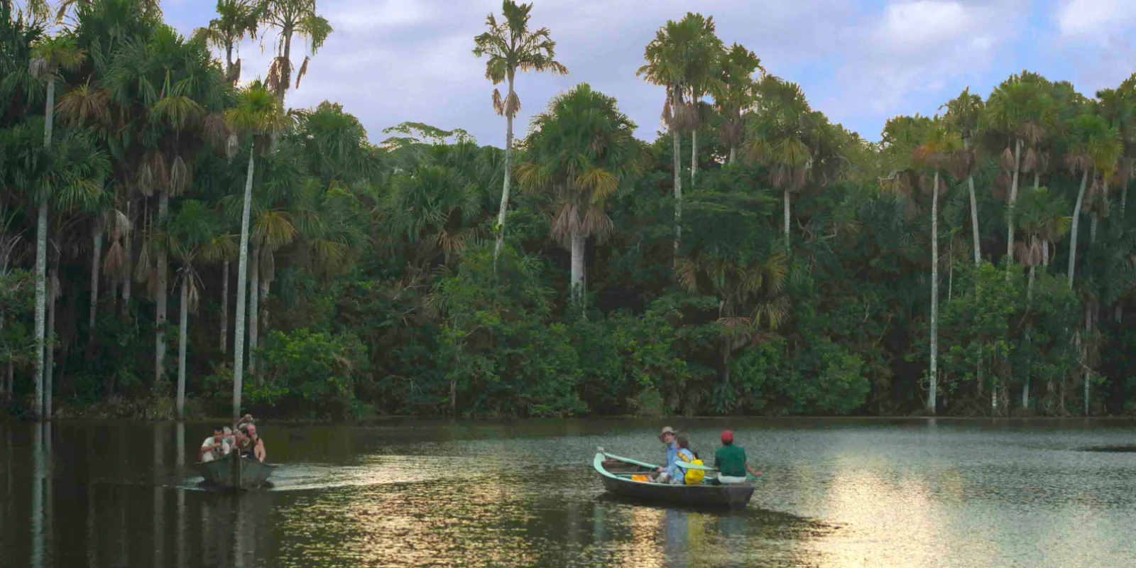 Tambopata O Paraíso Natural