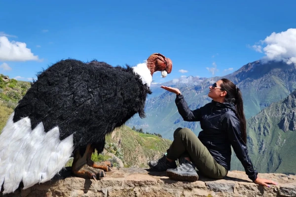 Pacote De Viagem: Arequipa – Puno – Cusco 8 Dias