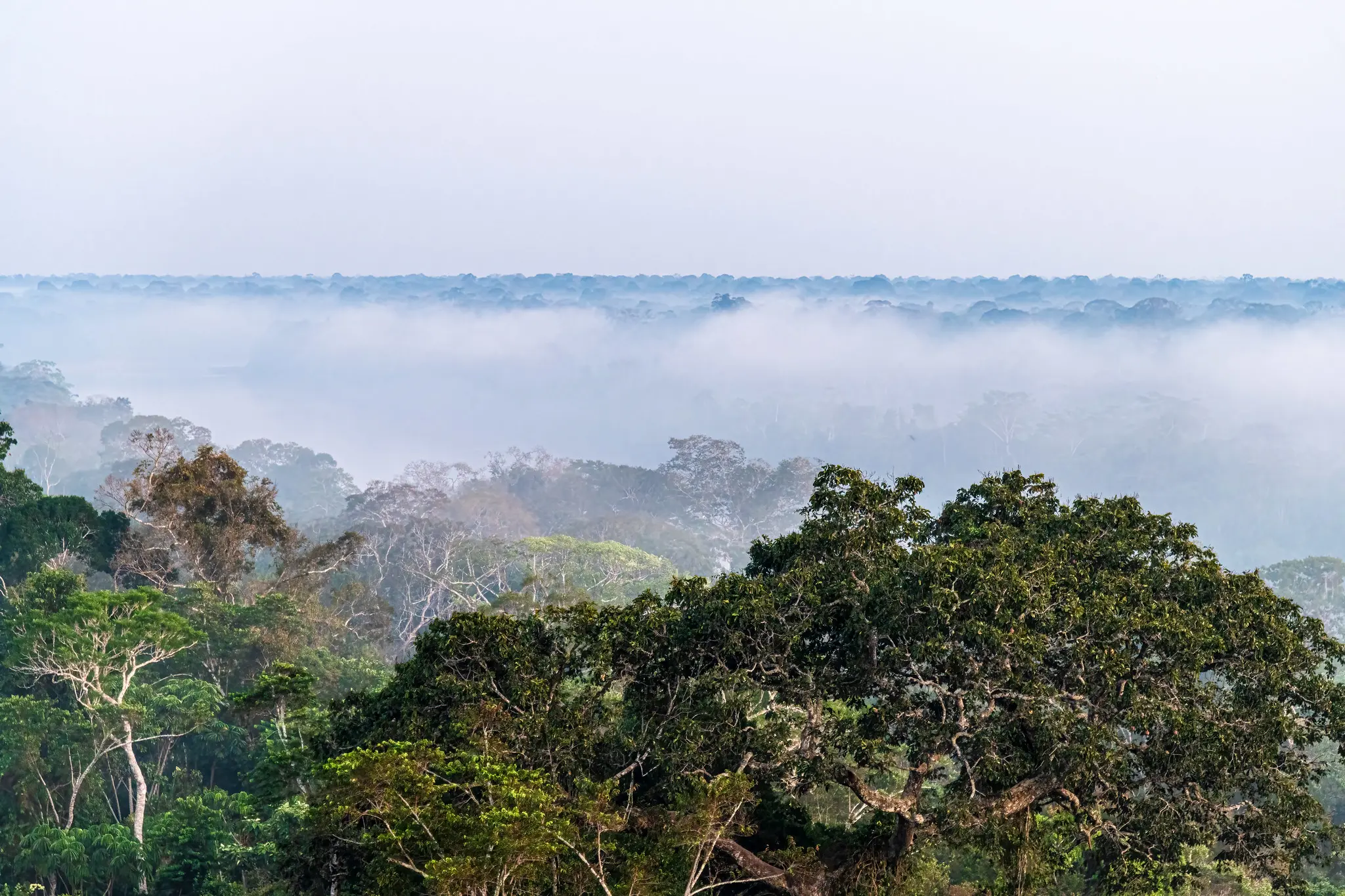 Explora la Reserva Nacional Tambopata