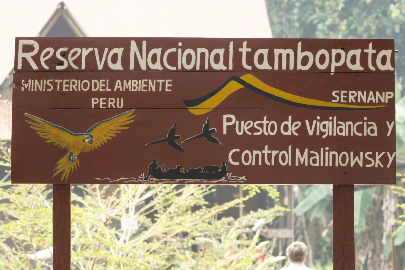 Explora la Reserva Nacional Tambopata